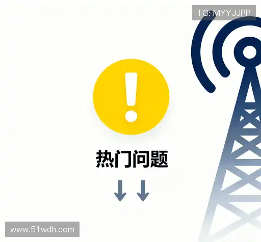 疑问全解